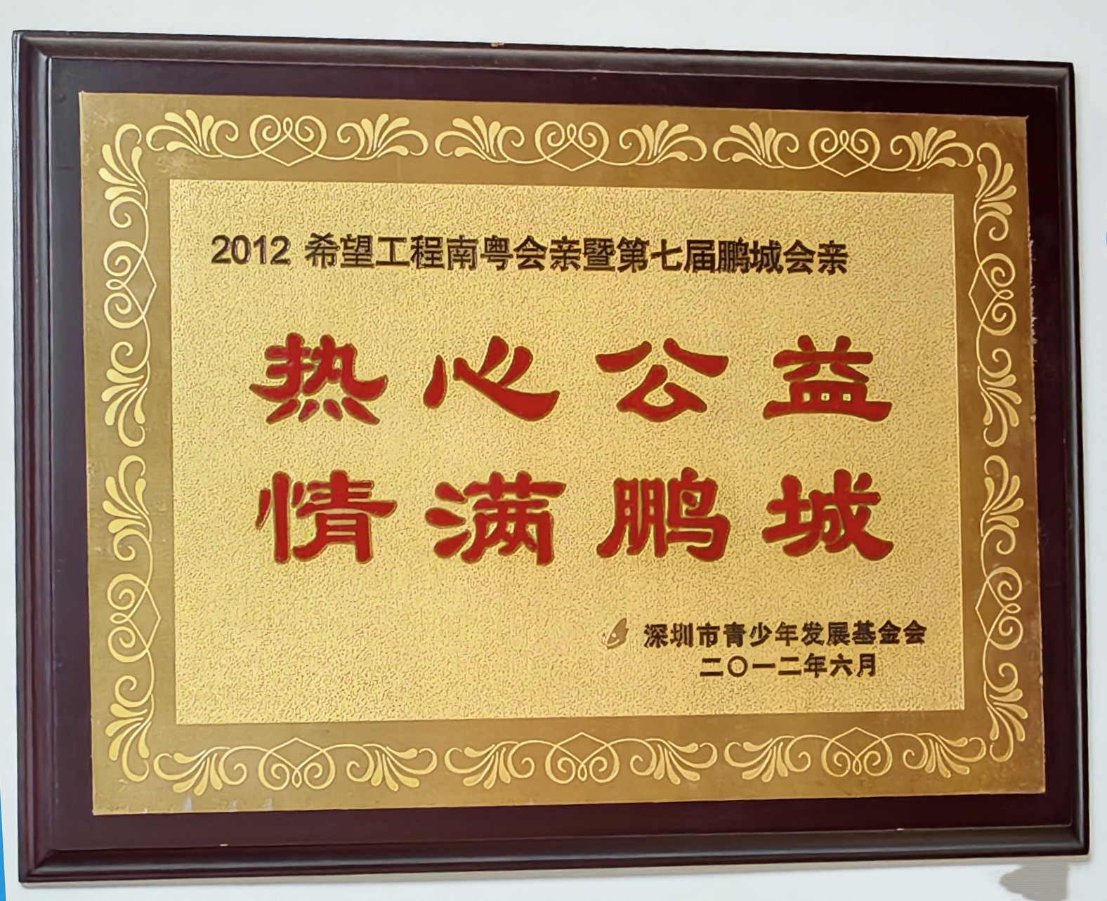 2012年深圳市青少年发展基金会