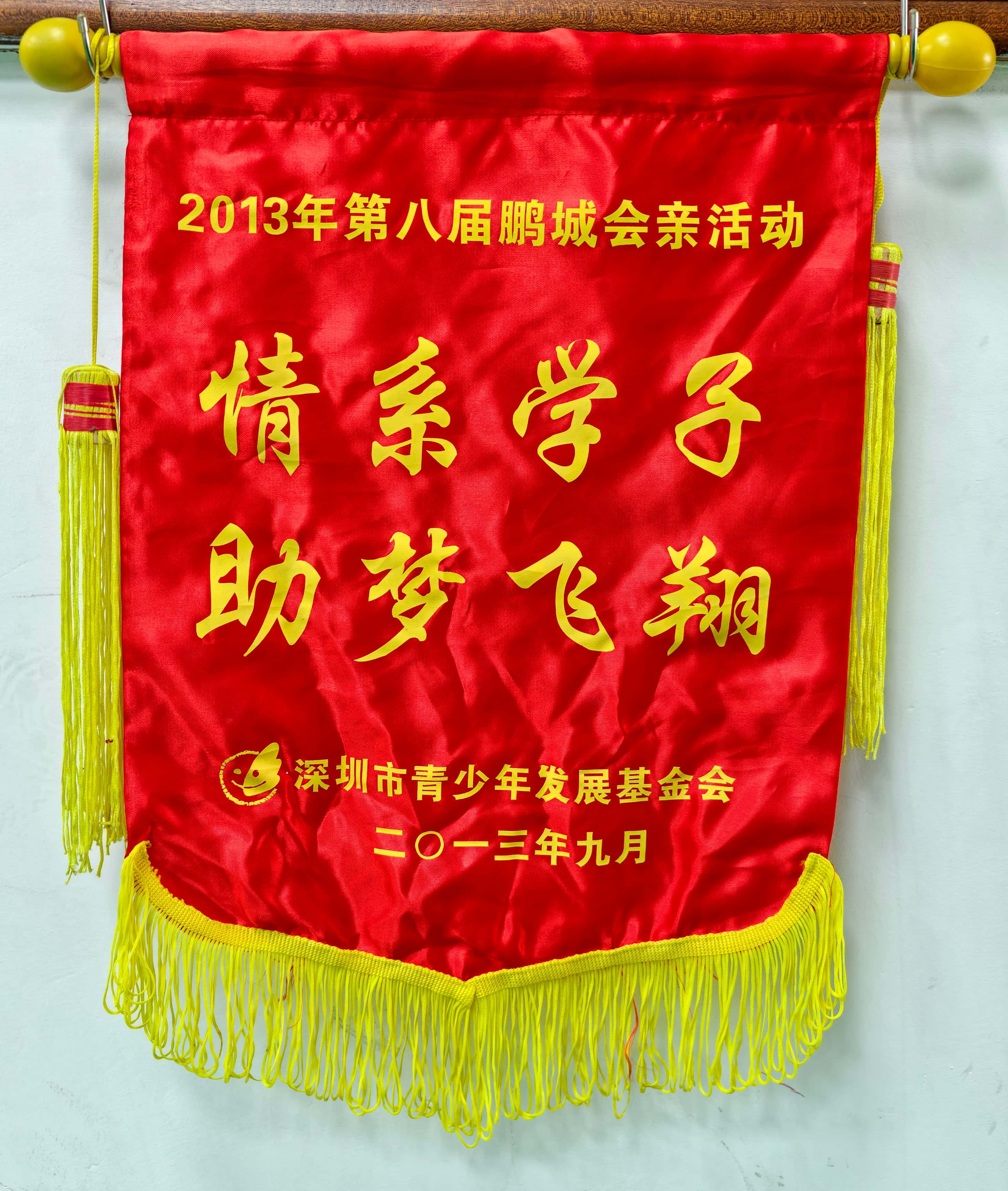 2013年深圳市青少年发展基金会