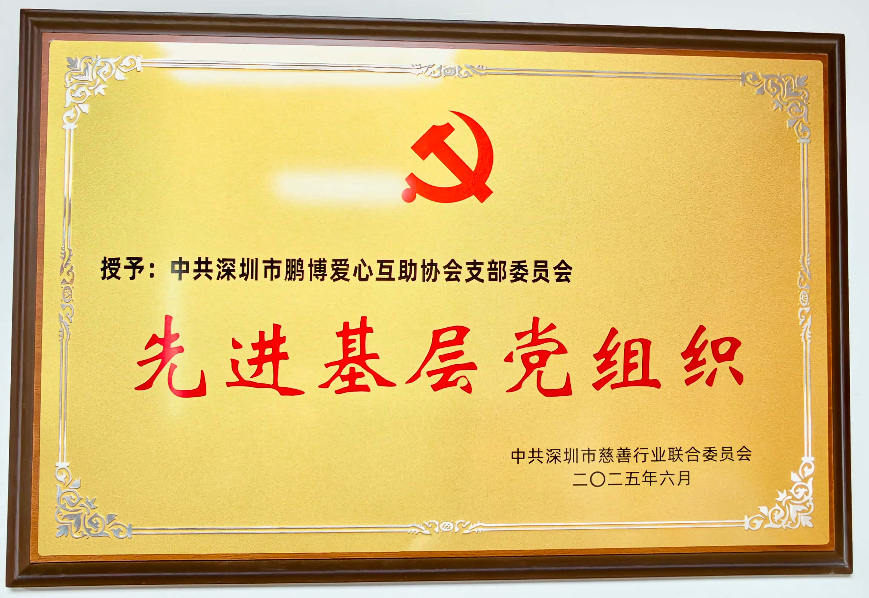 2025年中共深圳市慈善行业联合委员会