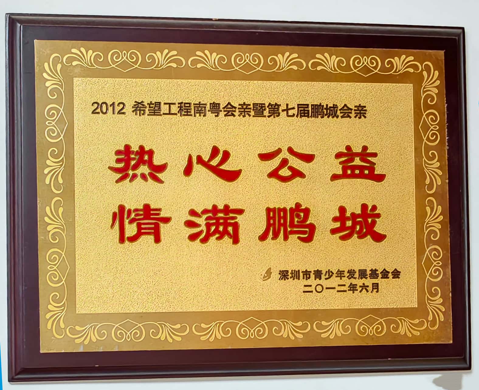 2012年深圳市青少年发展基金会