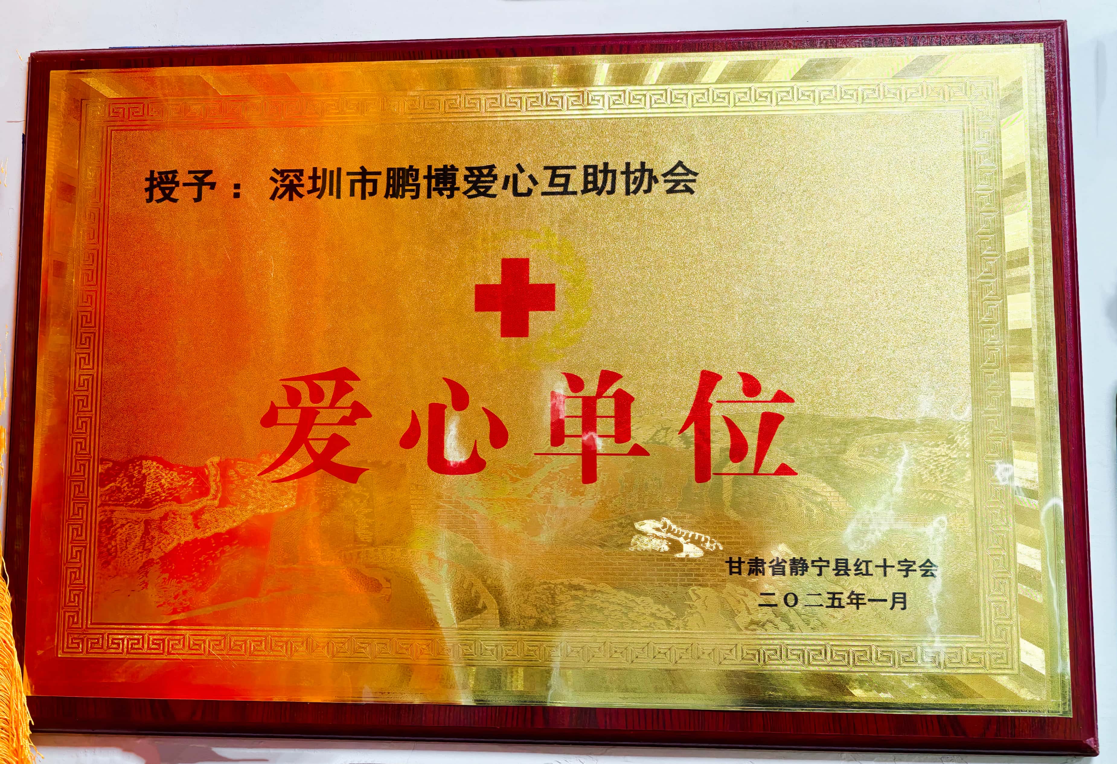 2025年甘肃省静宁县红十字会