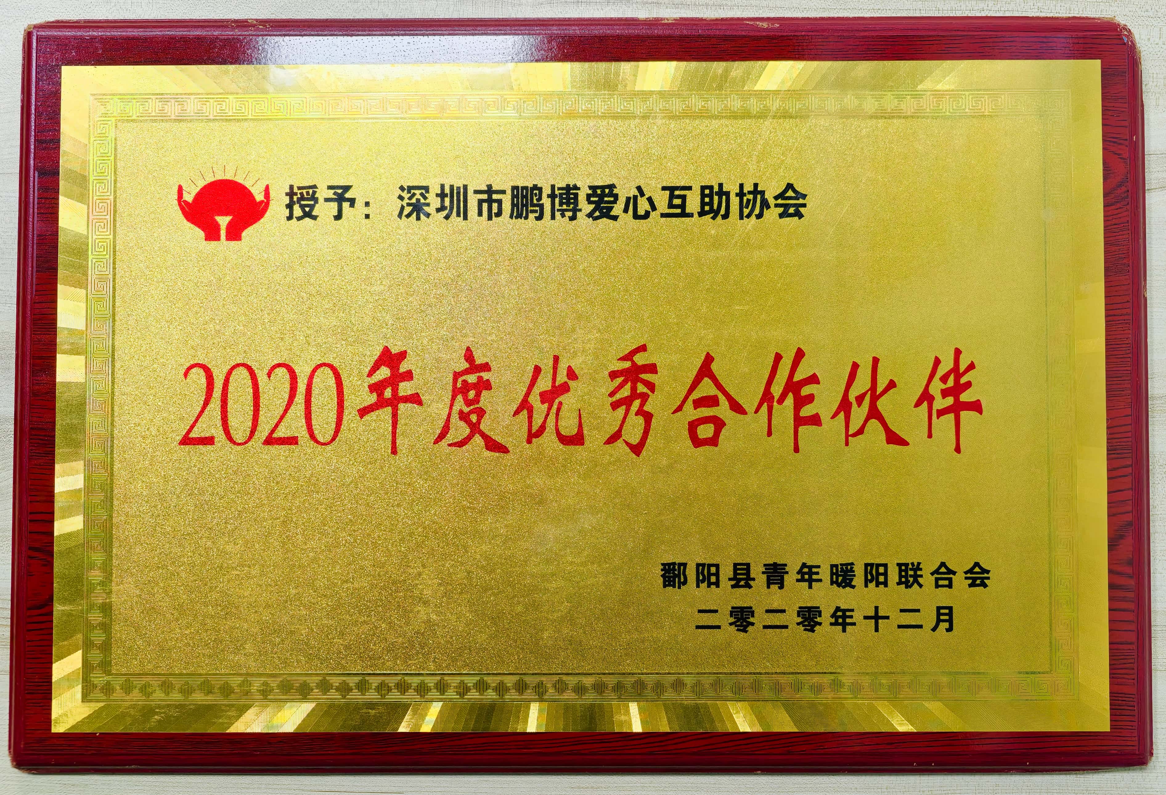 2020年江西省鄱阳县青年暖阳联合会