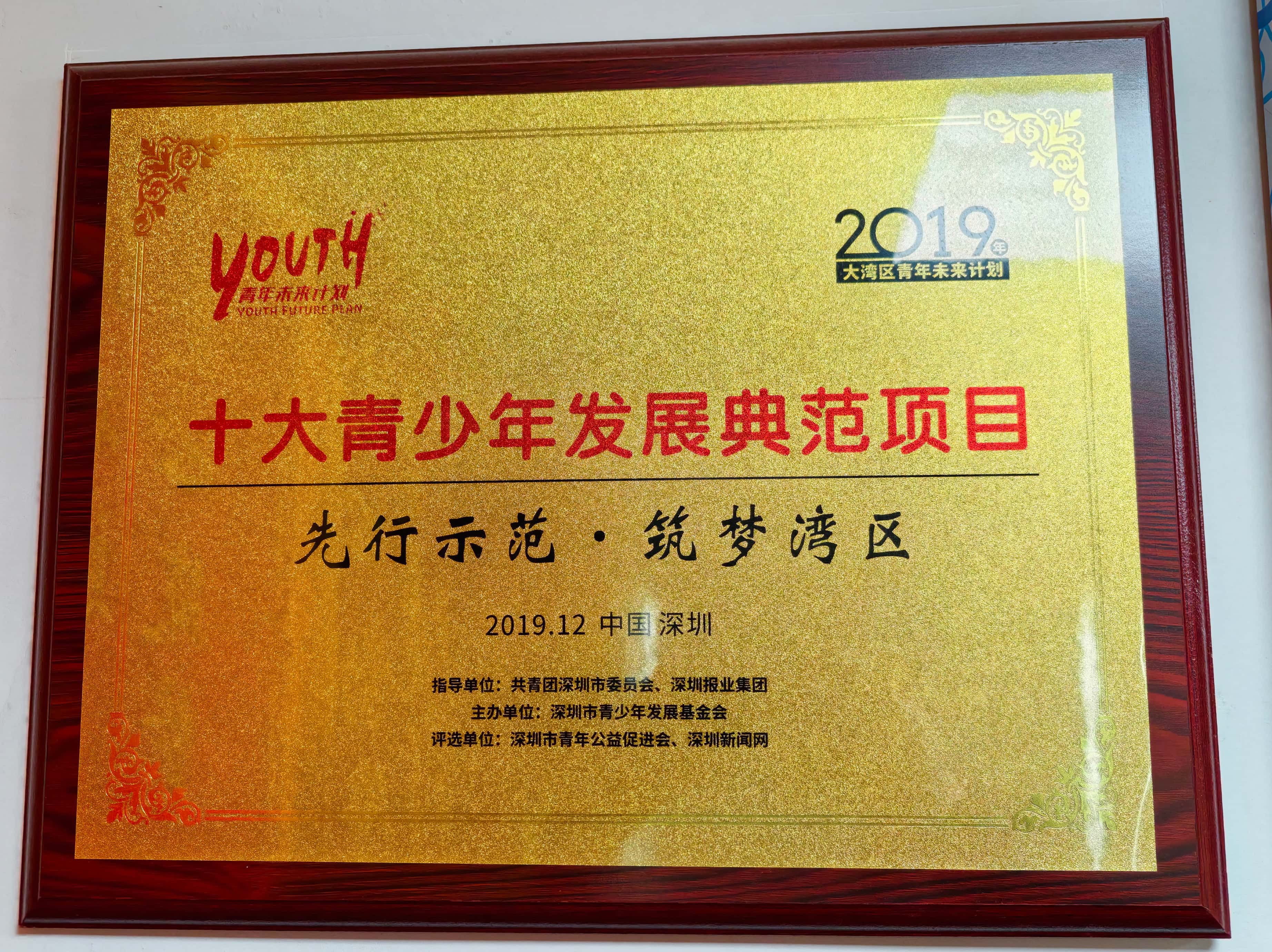 2019年深圳市团市委，青少年发展基金会